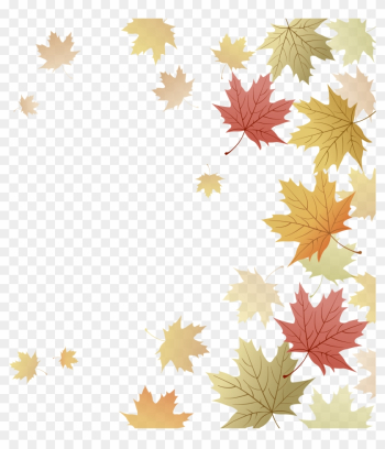 Japanese Maple Red Maple Maple Leaf Autumn - Japanese Maple Red Maple Maple Leaf Autumn Japanese Maple Red Maple Maple Leaf Autumn - Japanese Maple Red Maple Maple Leaf Autumn