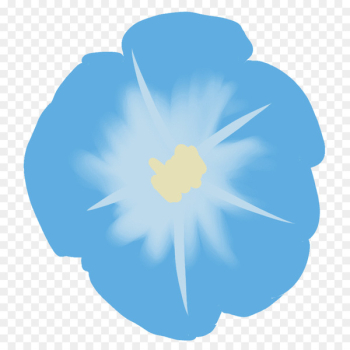 Japanese morning glory Illustration Illustrator Graphics Flowering plant -  