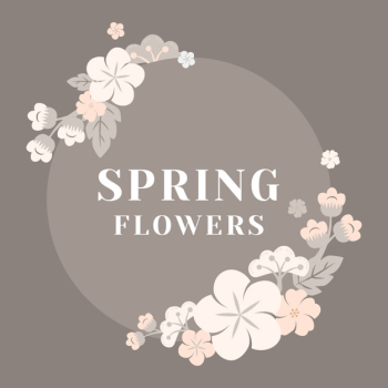 Japanese pastel flowers frame Japanese pastel flowers frame