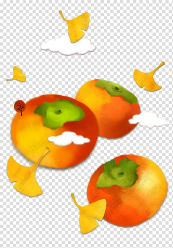 Japanese Persimmon Cartoon Illustration, Persimmon Autumn elements transparent background PNG clipart