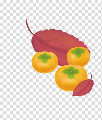 Japanese Persimmon Fruit, persimmon transparent background PNG clipart Japanese Persimmon Fruit, persimmon transparent background PNG clipart