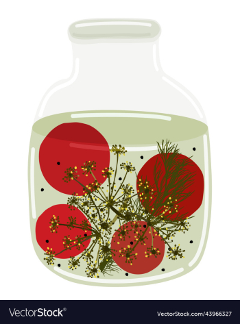 jar of pickled tomatoes with dill and peppercorns jar of pickled tomatoes with dill and peppercorns