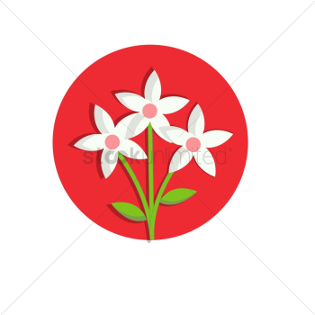 Jasmine flower