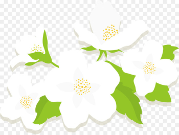 Jasmine Flower Euclidean vector - White flowers 