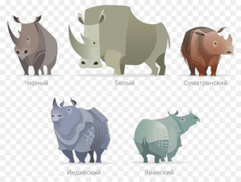Javan rhinoceros Indian rhinoceros Western black rhinoceros Save the Rhino Horn - javan rhino endangered species 