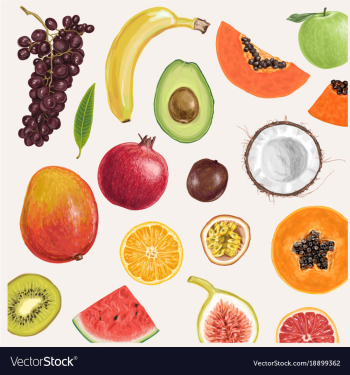  					Jaw dropping hand drawn summer fruits vector image														