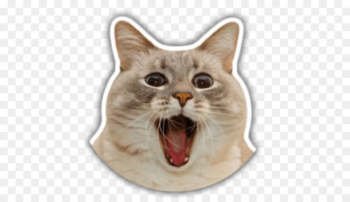 Jazz Balinese cat Burmese cat Sticker Image - Jazz Balinese cat Burmese cat Sticker Image -