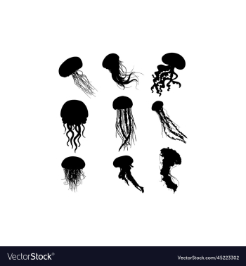 jellyfish animal sea design jellyfish animal sea design