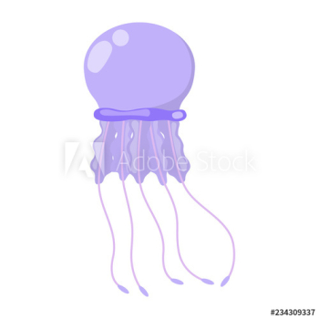 Jellyfish marine animal Jellyfish marine animal