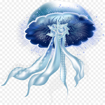 Jellyfish Portable Network Graphics Clip art Image Download - moon jellyfish 