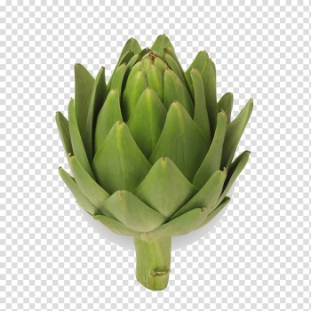 Jerusalem artichoke Vegetable Food, vegetable transparent background PNG clipart Jerusalem artichoke Vegetable Food, vegetable transparent background PNG clipart