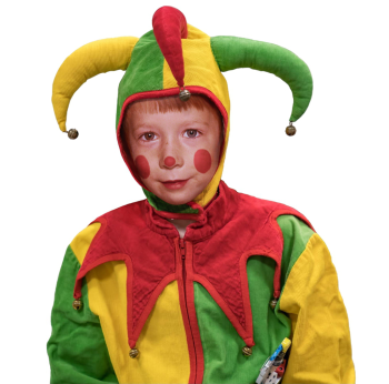 Jester Costume