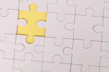Jigsaw Puzzle Jigsaw Puzzle