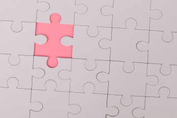 Jigsaw Puzzle Jigsaw Puzzle