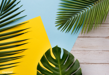 Joy activity attractive | Free stock photo - 67624 Joy activity attractive | Free stock photo - 67624
