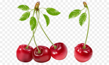 Juice Cherry Fruit Berry - Cherries PNG Picture Juice Cherry Fruit Berry - Cherries PNG Picture