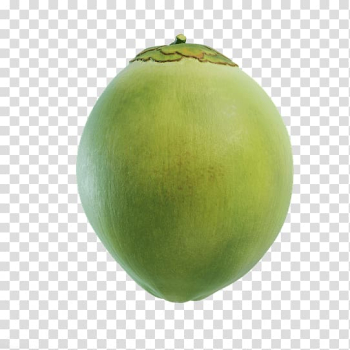 Juice Coconut water Fruit Food, coconut transparent background PNG clipart