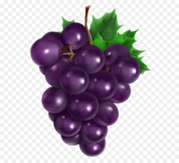 Juice Common Grape Vine Fruit - Transparent Grape PNG Clipart Picture 