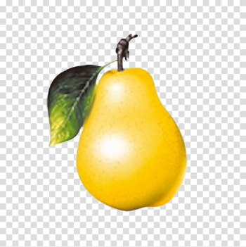Juice Fruit Vegetable Pear, pear transparent background PNG clipart Juice Fruit Vegetable Pear, pear transparent background PNG clipart