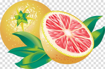 Juice Grapefruit Lemon , Of Citrus Fruits transparent background PNG clipart Juice Grapefruit Lemon , Of Citrus Fruits transparent background PNG clipart