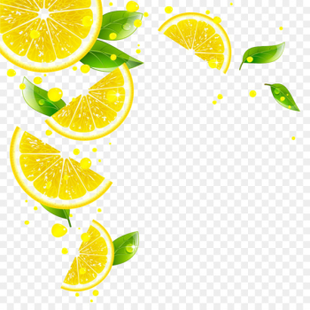 Juice Lemon Key lime Grapefruit Tangerine - Lemon juice Juice Lemon Key lime Grapefruit Tangerine - Lemon juice