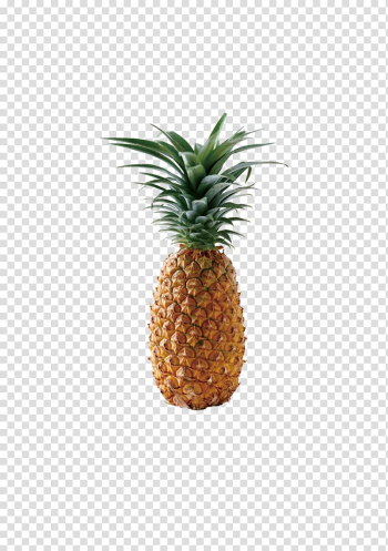 Juice Pineapple , A pineapple fruit transparent background PNG clipart Juice Pineapple , A pineapple fruit transparent background PNG clipart