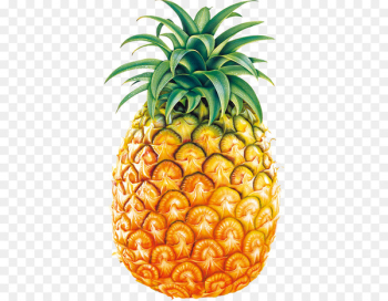 Juice Pineapple Clip art - fruit Juice Pineapple Clip art - fruit