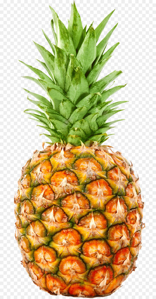 Juice Pineapple cutter Gelatin dessert Fruit - pineapple Juice Pineapple cutter Gelatin dessert Fruit - pineapple