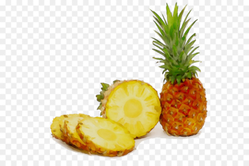 Juice Pineapple Dried Fruit Can - Juice Pineapple Dried Fruit Can -