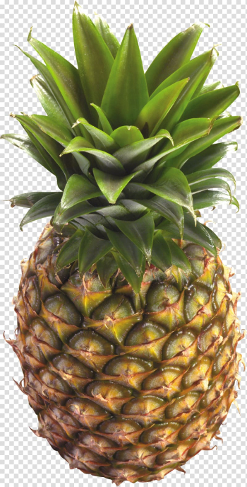 Juice Pineapple Fruit , Pineapple , free transparent background PNG clipart Juice Pineapple Fruit , Pineapple , free transparent background PNG clipart