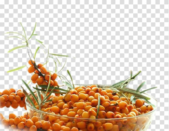 Juice Seaberry Frutti di bosco Sea buckthorn oil Fruit, Sea buckthorn fruit material transparent background PNG clipart