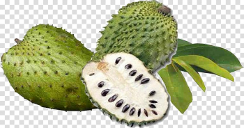 Juice Soursop Fruit Jamaican cuisine Colombian cuisine, juice transparent background PNG clipart