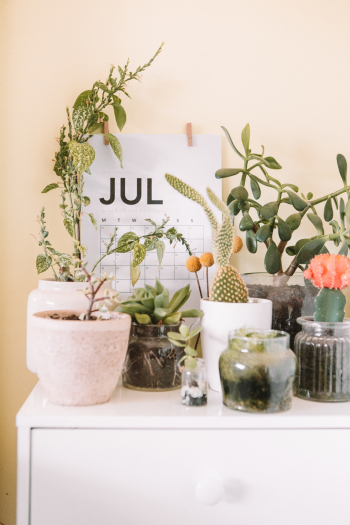 July // Calendar Series July // Calendar Series