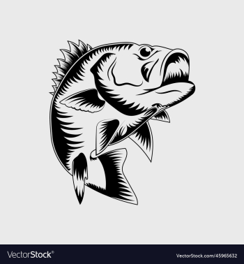 jumping bass fish jumping bass fish