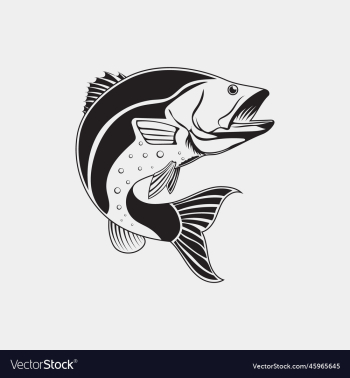 jumping bass fish jumping bass fish