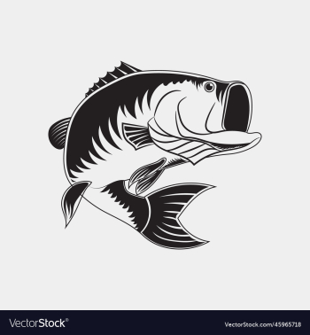 jumping bass fish jumping bass fish