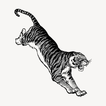 Jumping tiger, animal illustration vector. | Free Vector Illustration - rawpixel Jumping tiger, animal illustration vector. | Free Vector Illustration - rawpixel
