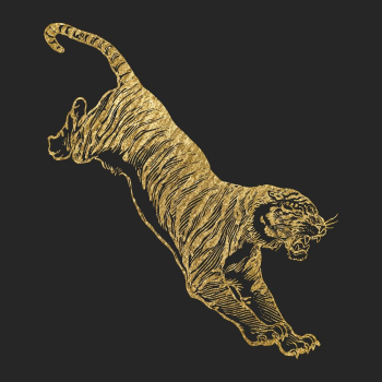 Jumping tiger gold sticker, aesthetic | Free Vector Illustration - rawpixel