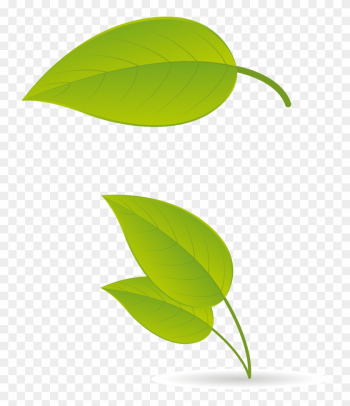 June - Tree June - Tree