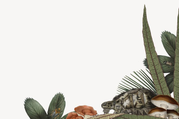 Jungle animals border, turtle illustration | Free PSD Illustration - rawpixel Jungle animals border, turtle illustration | Free PSD Illustration - rawpixel