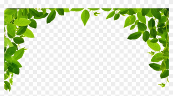 Jungle Border Png Image - Jungle Border Png