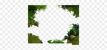 Jungle Border Png Transparent Image - Jungle Border Transparent