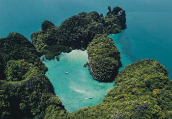 jungle islands jungle islands