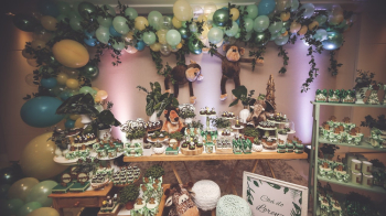 Jungle Themed Party