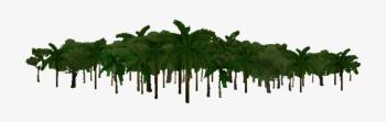 Jungle Transparent Background - Rainforest Leaves No Background ...