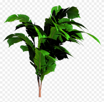 Jungle Tree Png Transparent Image - Jungle Tree Png