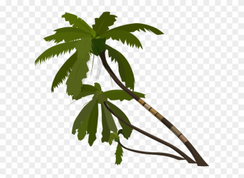Jungle Tree Vector Png Jungle Tree Vector Png