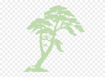 Jungle Trees Clipart Jungle Trees Clipart