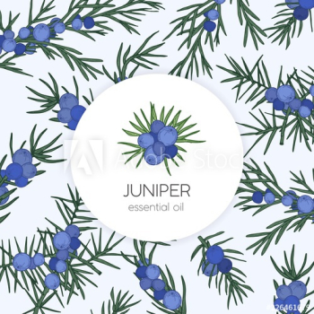 Juniper essential oil label or tag template Juniper essential oil label or tag template