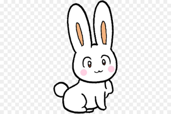 K-pop Domestic rabbit BTS BDZ SHINee - K-pop Domestic rabbit BTS BDZ SHINee -
